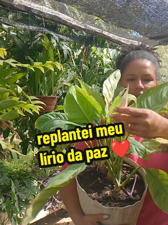 @Maisa Silva ❤️
