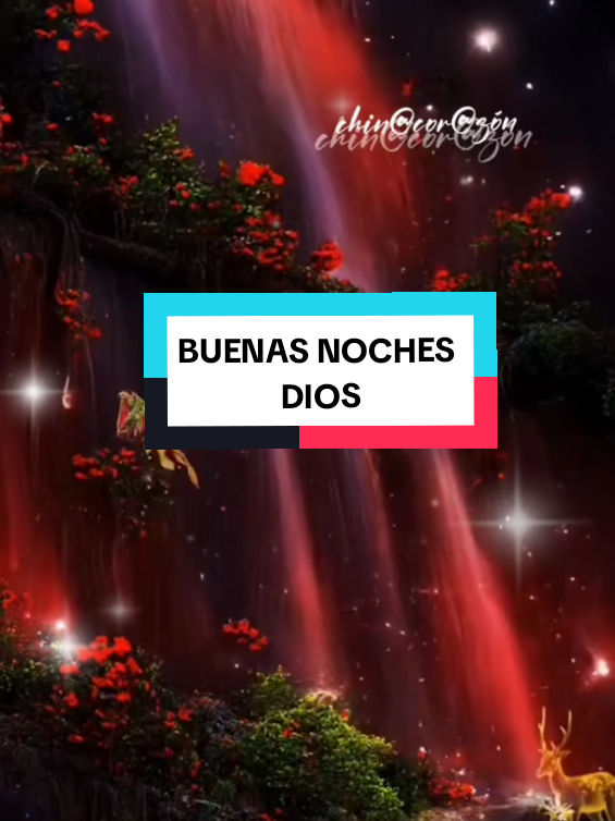 @chin@❤