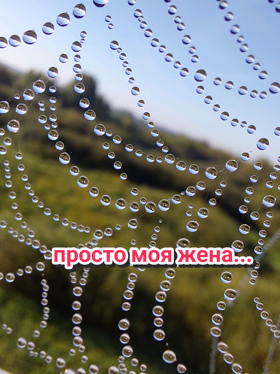@Рыся✔️🇧🇾