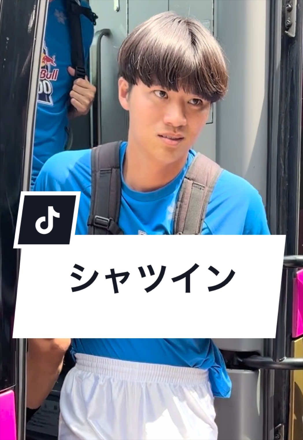 @ジャンキソウ🐺