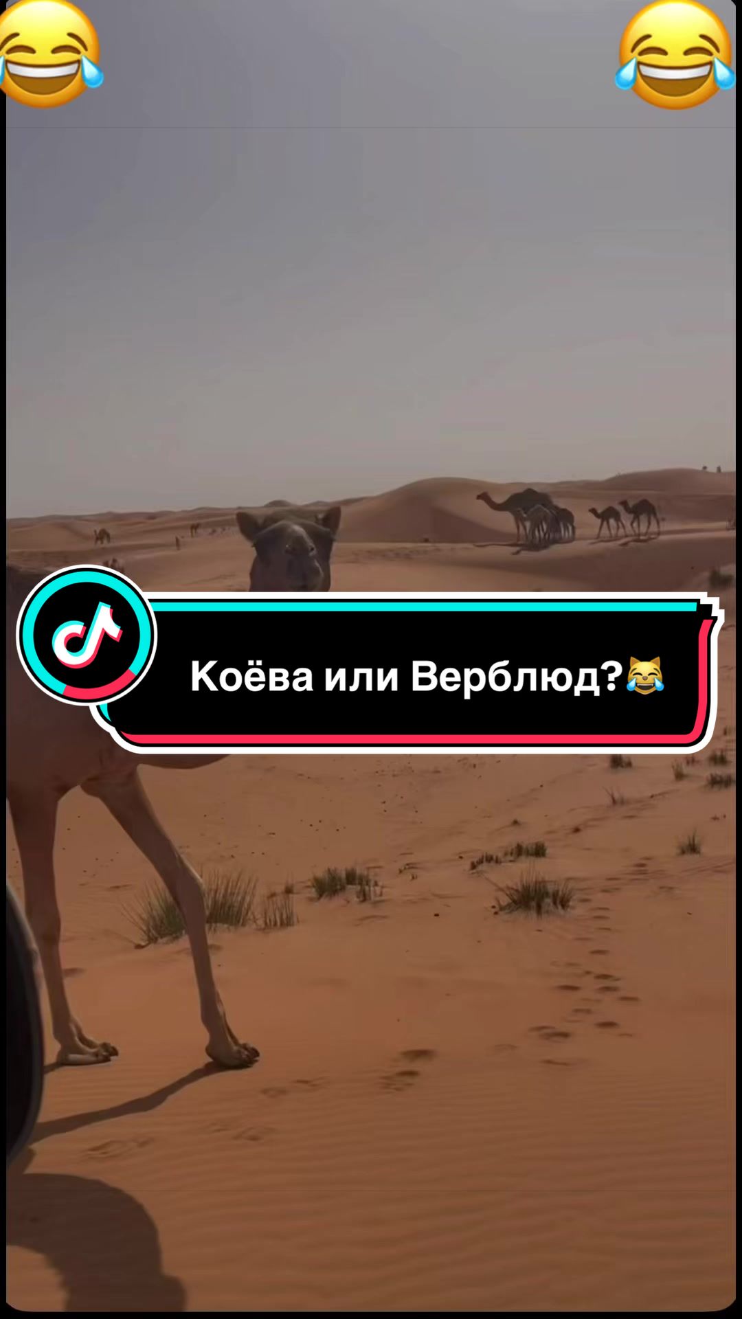 @Саня Пагон &clubs;️