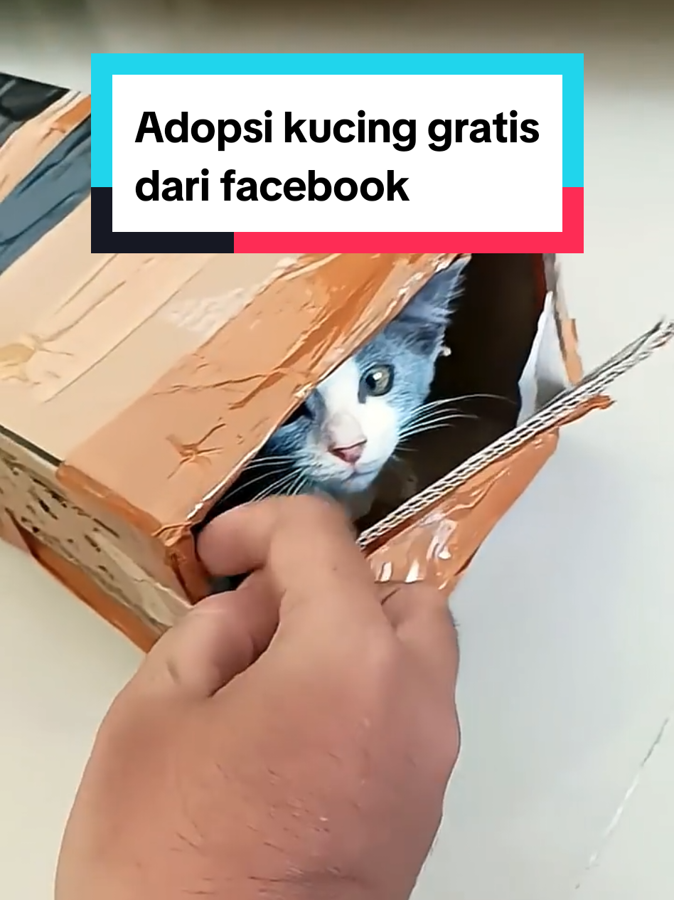 @Ontran