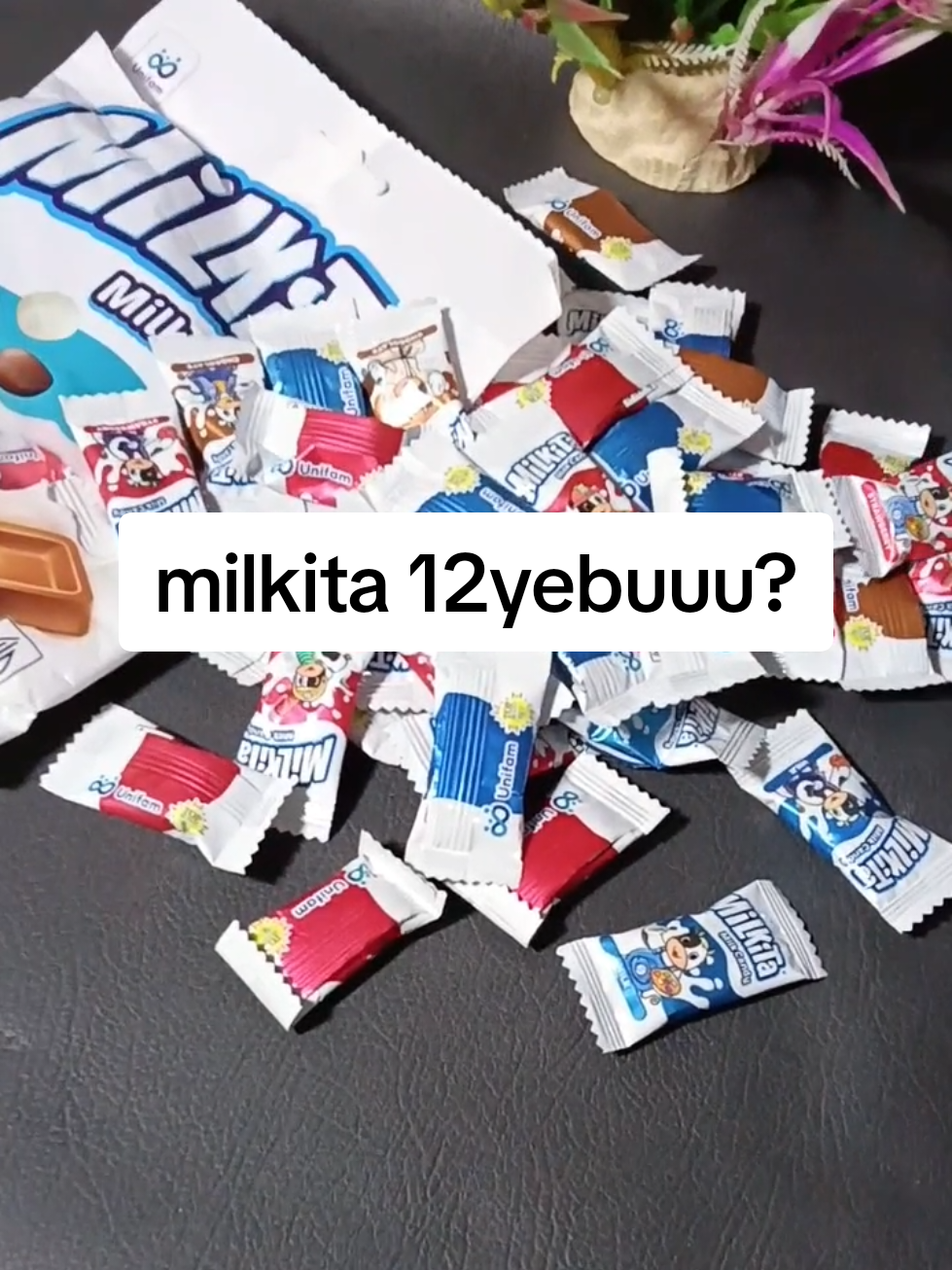 @zellaycel02