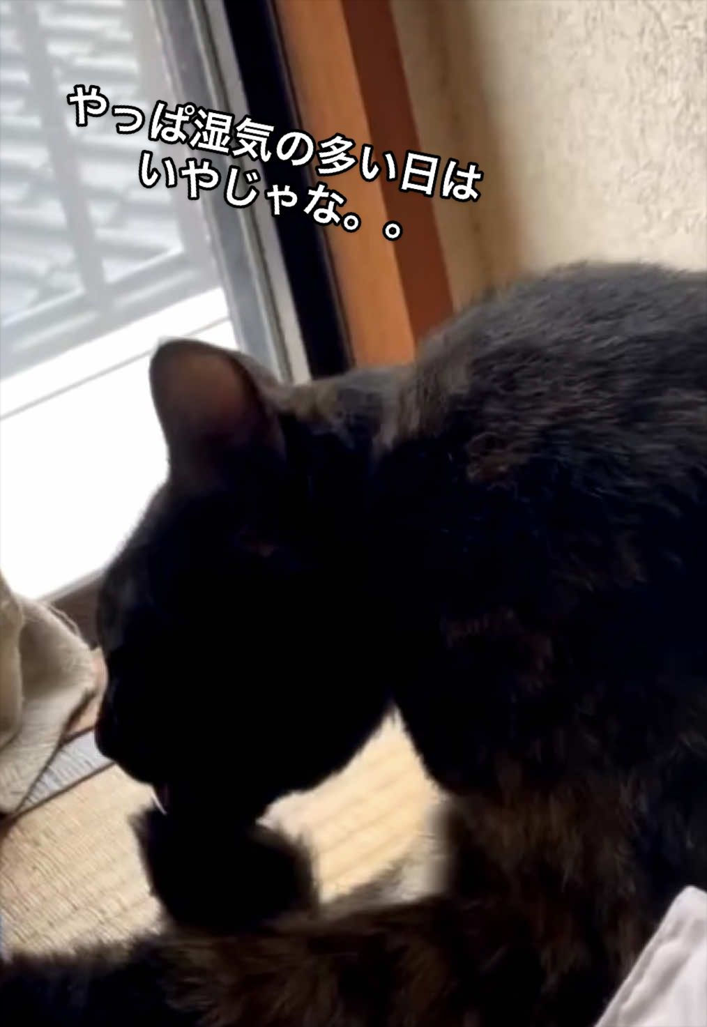 @聴々物語PROJECT