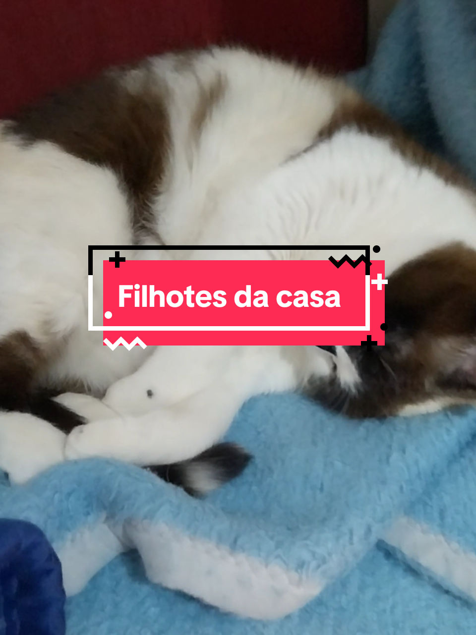 @Carvalho