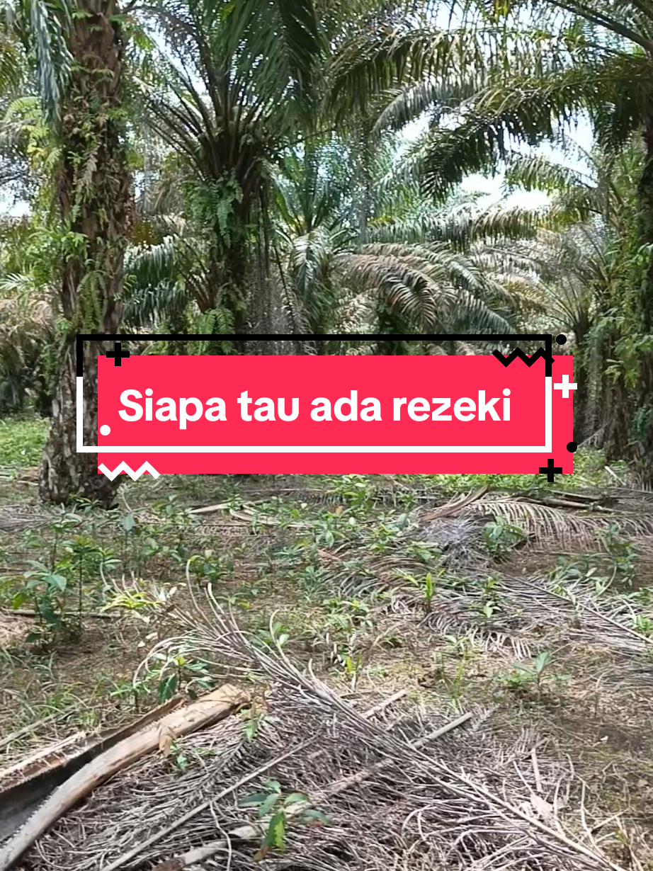@IG Nusantara