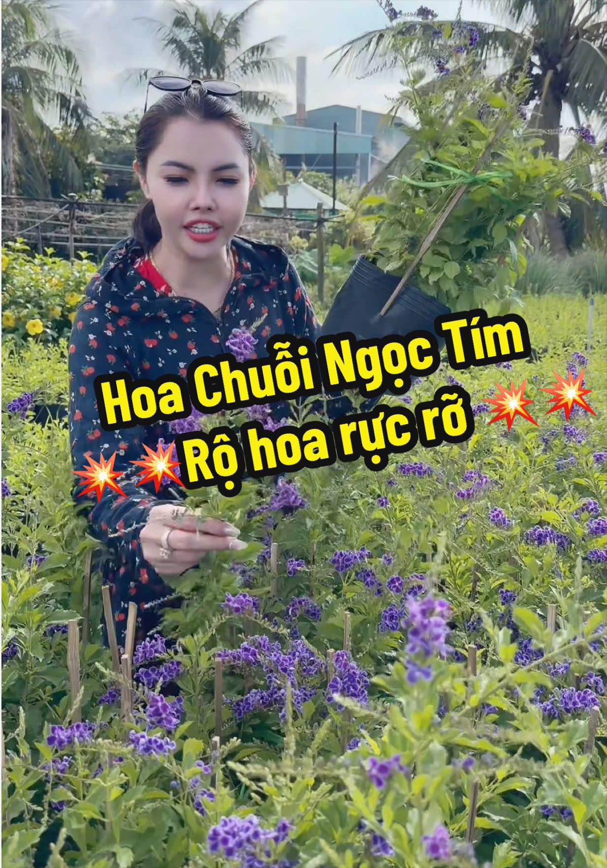 @Tiệm Lá Nhỏ