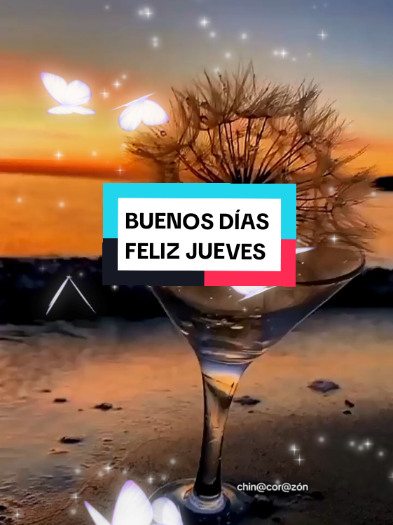 @chin@❤