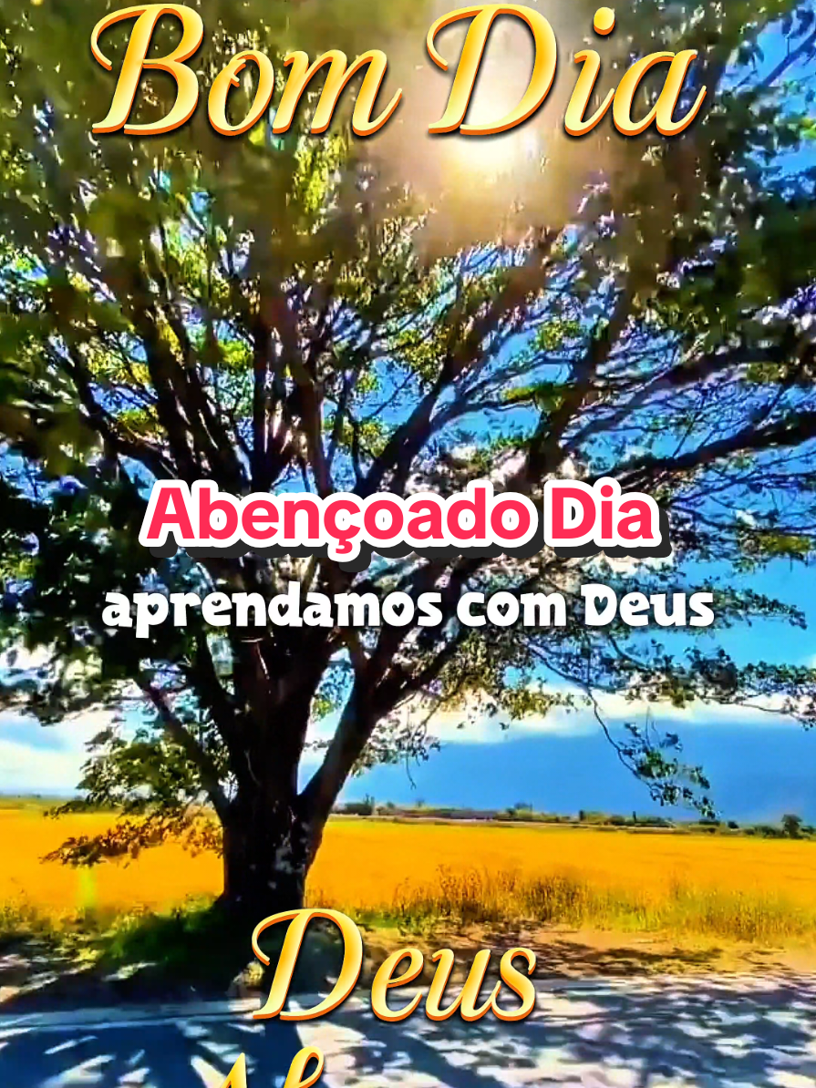 @César A. A. Santos