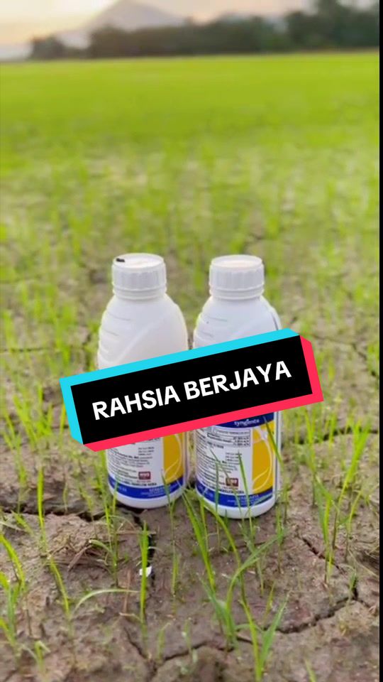 @CY Agriculture