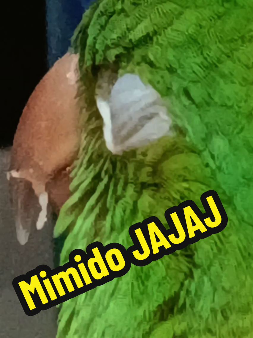 @🤙Verolocuras🤙
