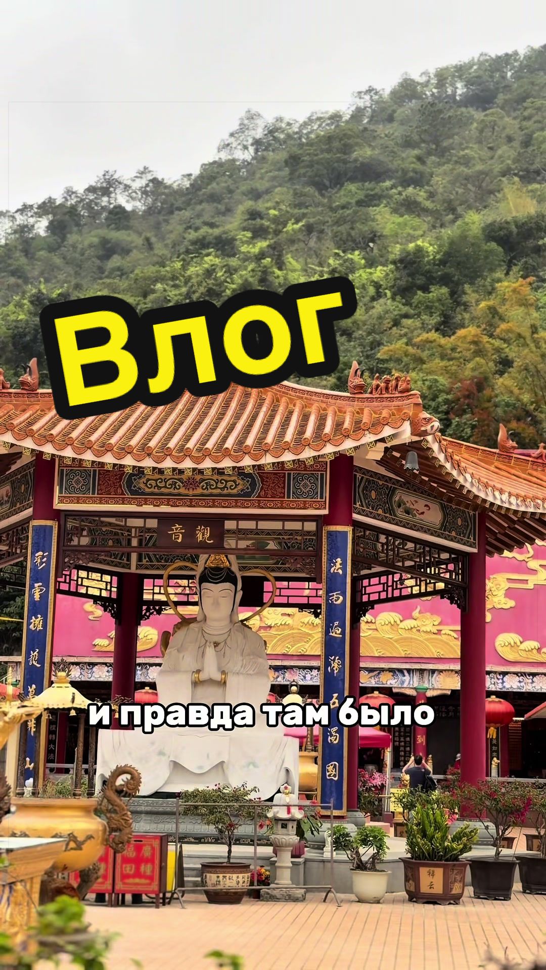 @ARBYY