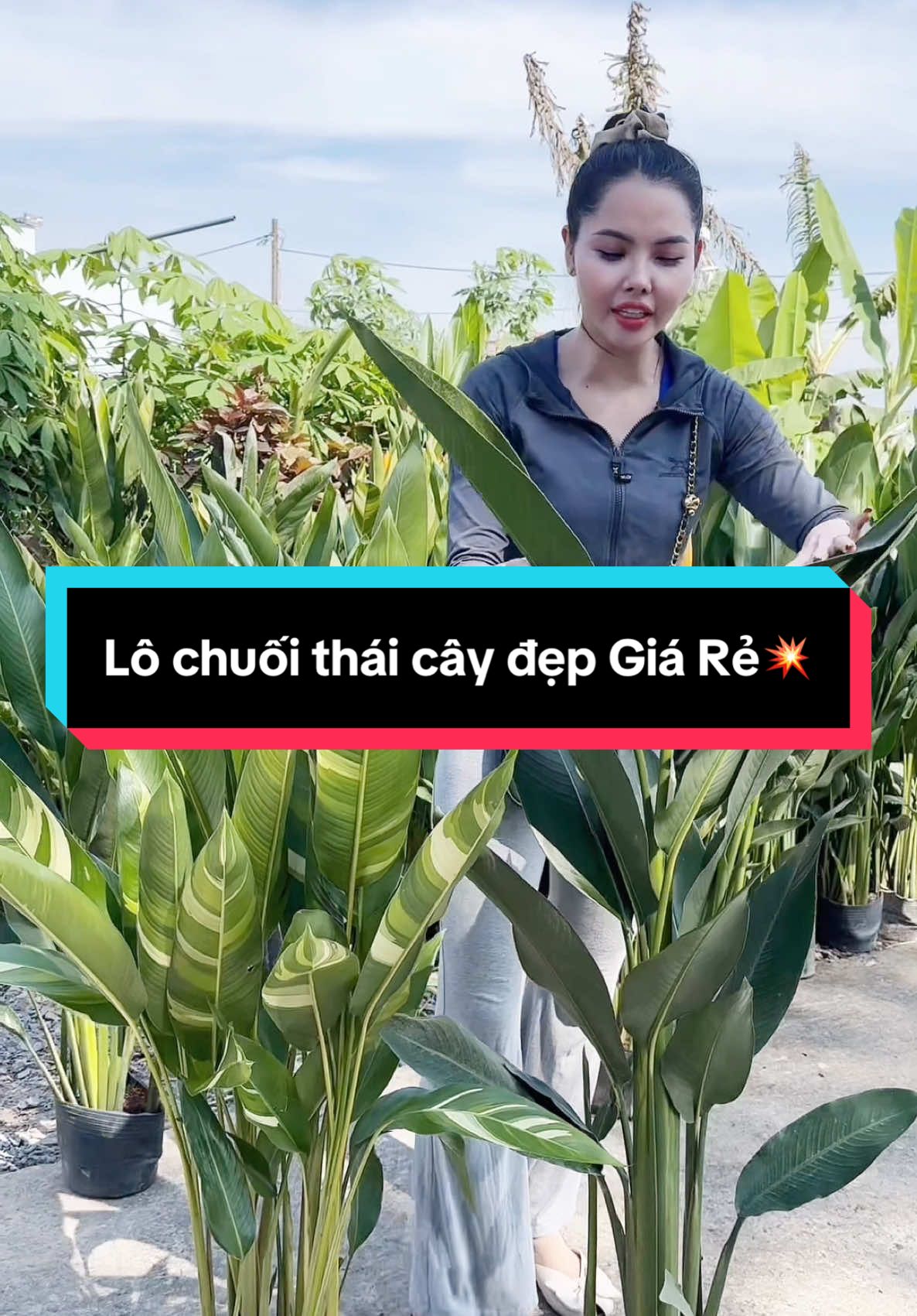 @Tiệm Lá Nhỏ