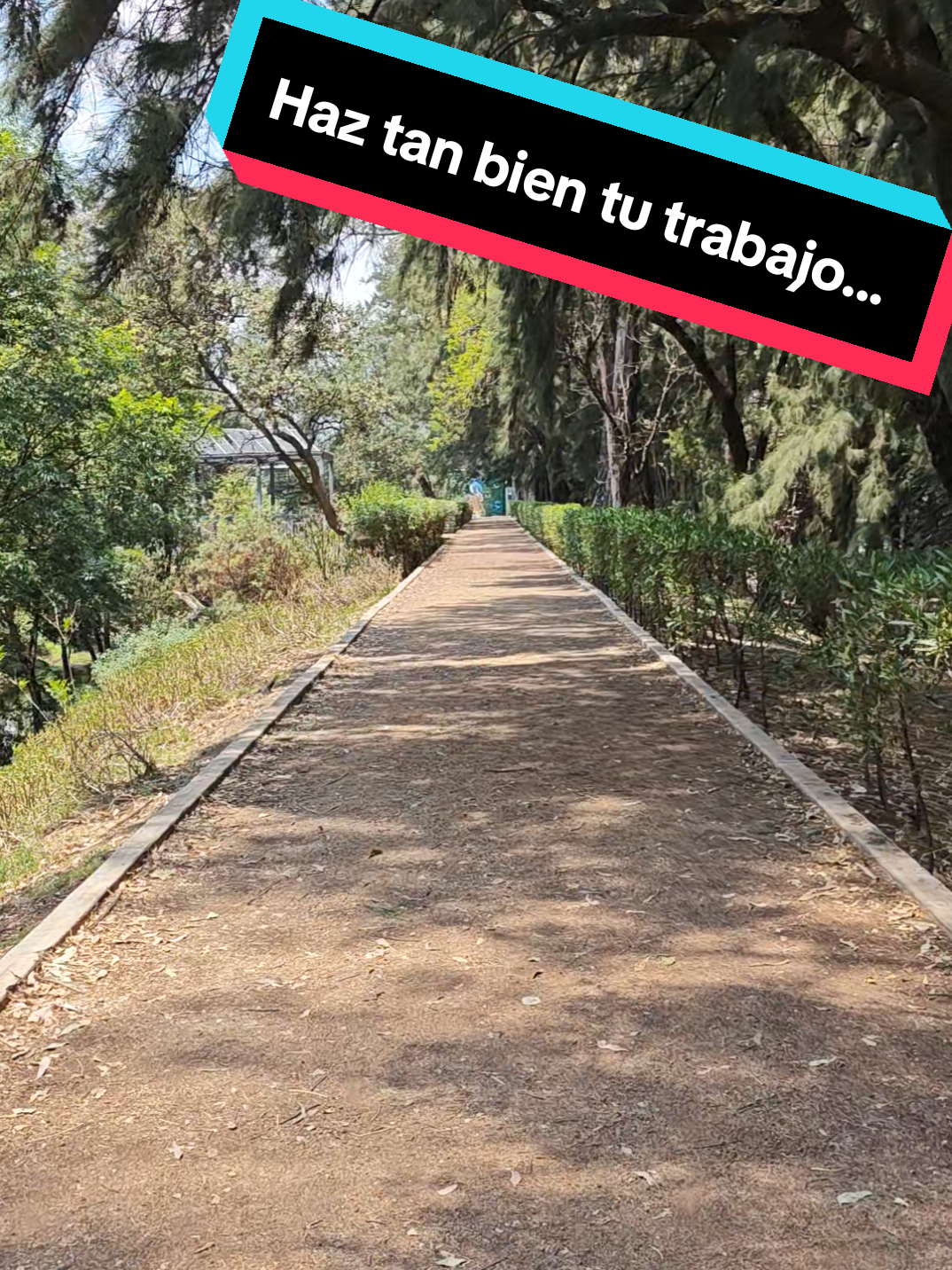@ironpan.mx