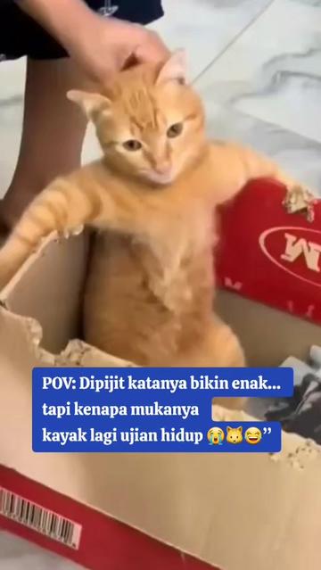 @๐๐๐๐ ๐๐ญ๐จ๐ซ๐
