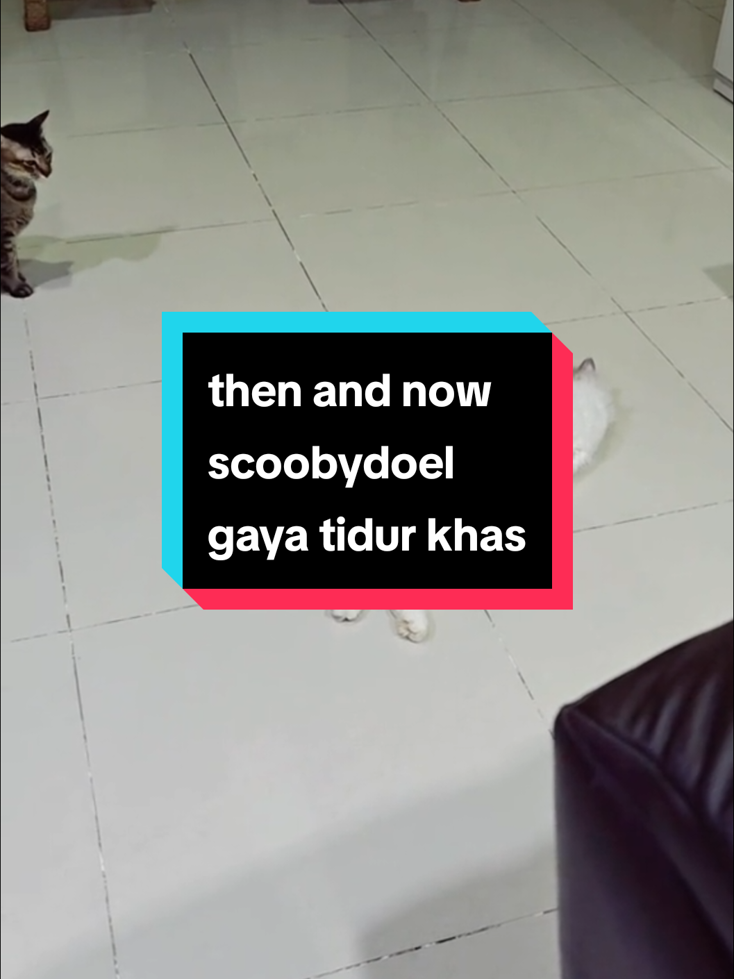 @scoobydoel