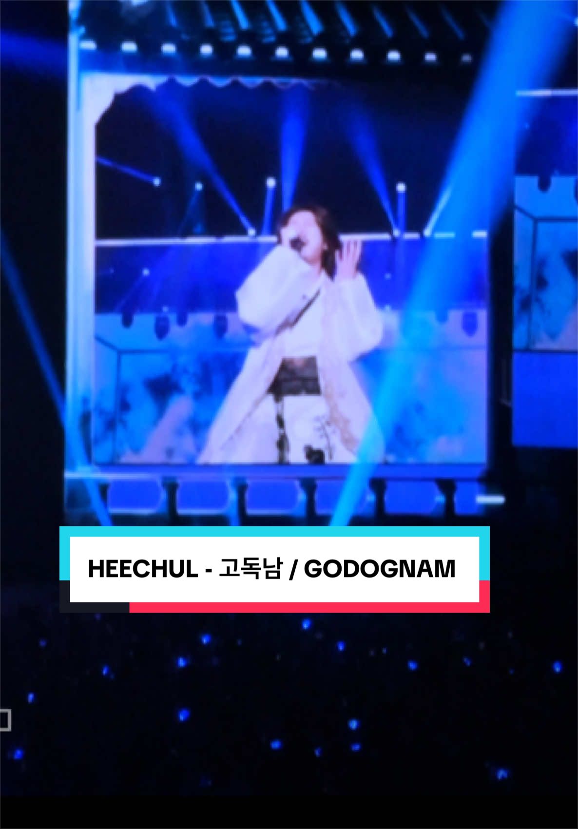 @sue๐๐ฉต elfcarat