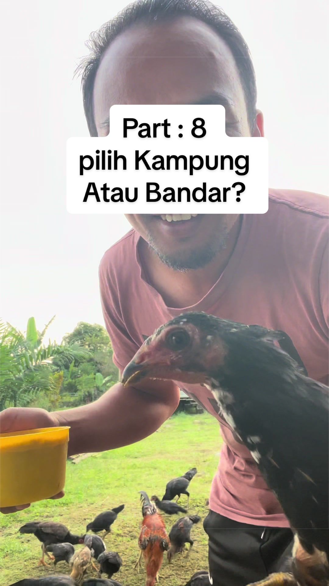 @Osimbayan Campsite Kundasang