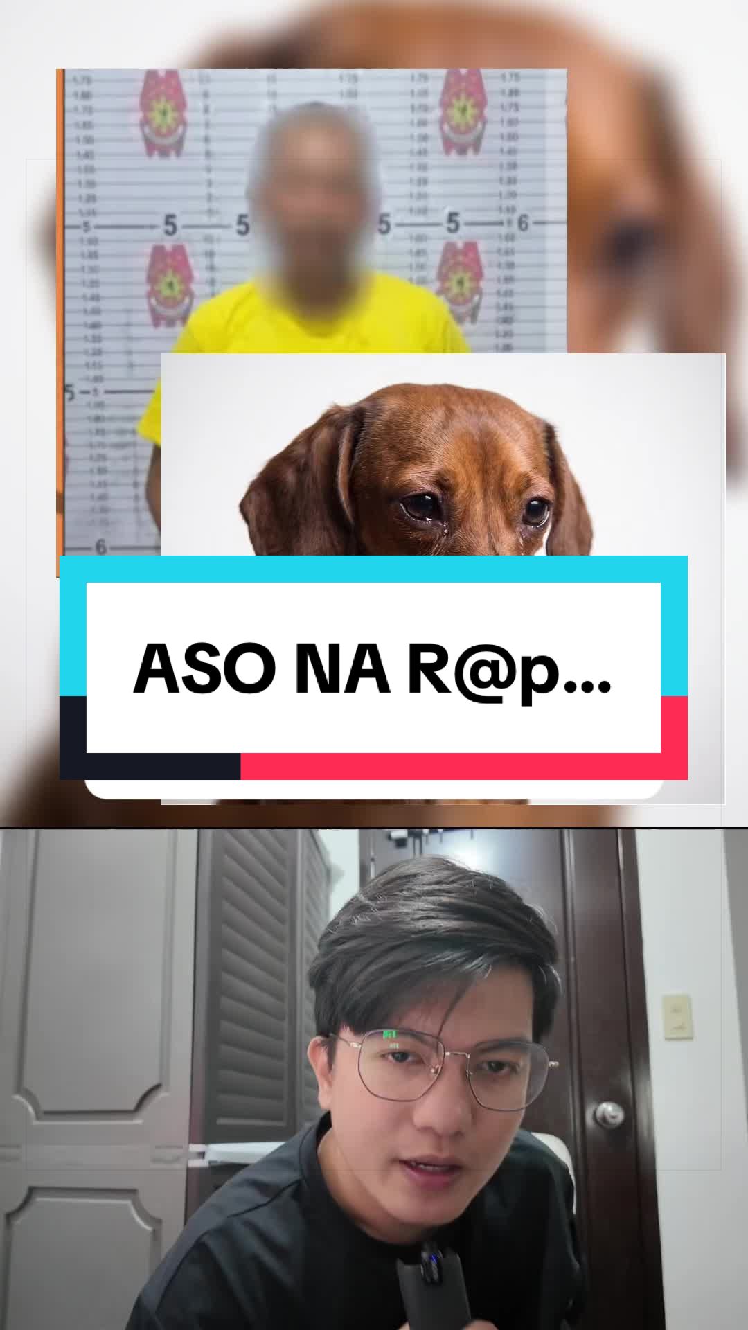 @Dash Diaries