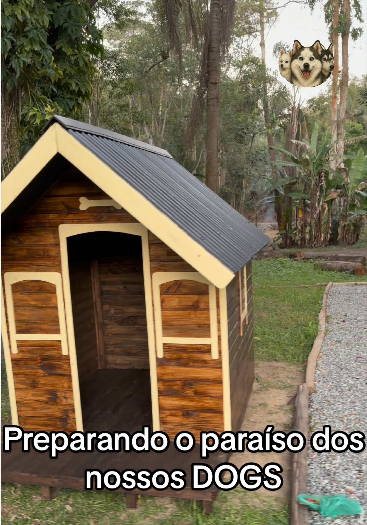 @Brazilian Pomsky