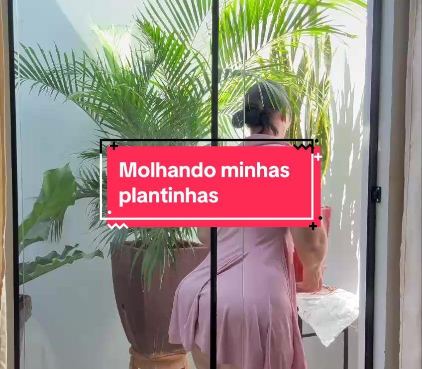 @Marlene Soares