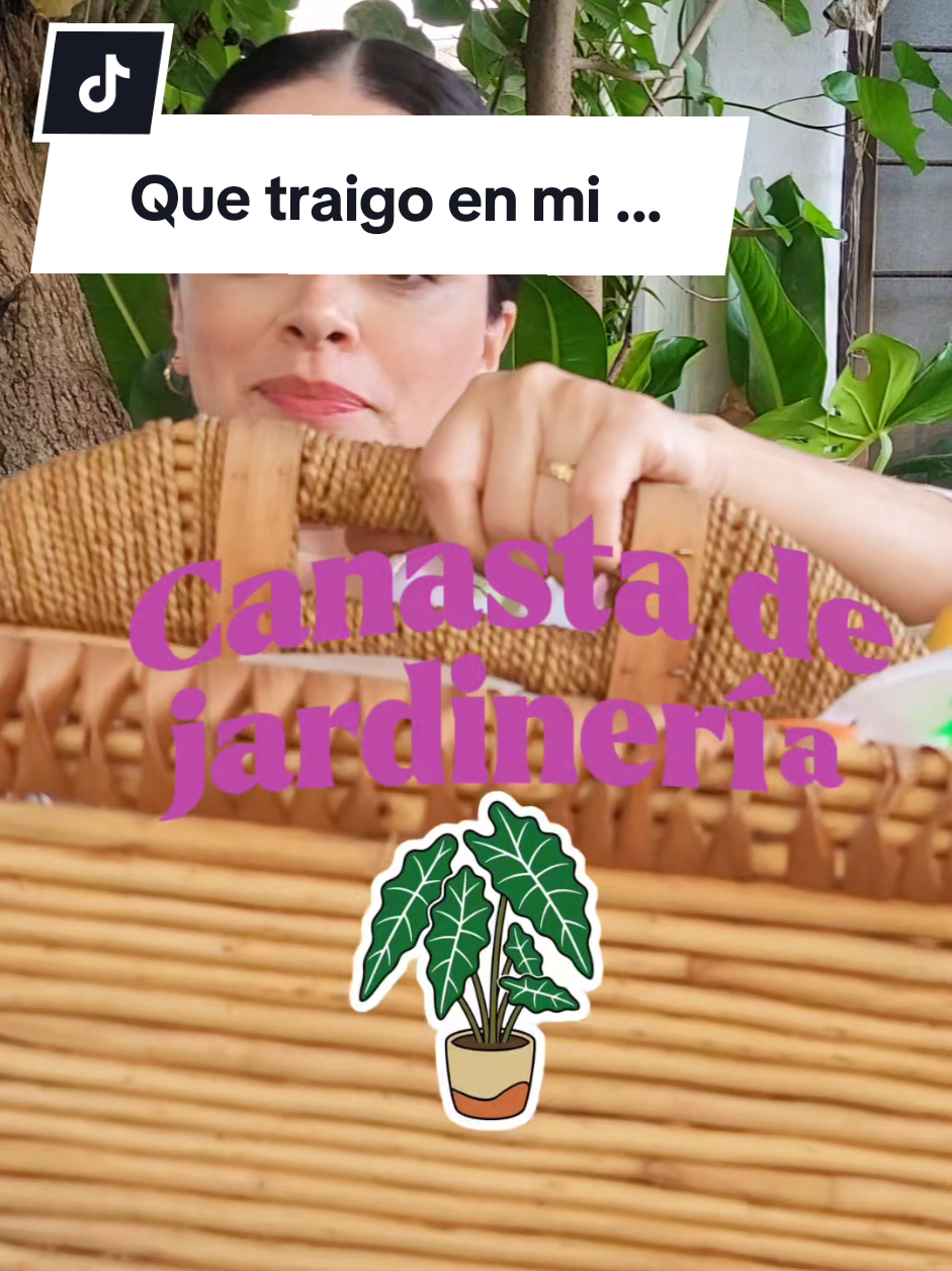 @Plantología🌿