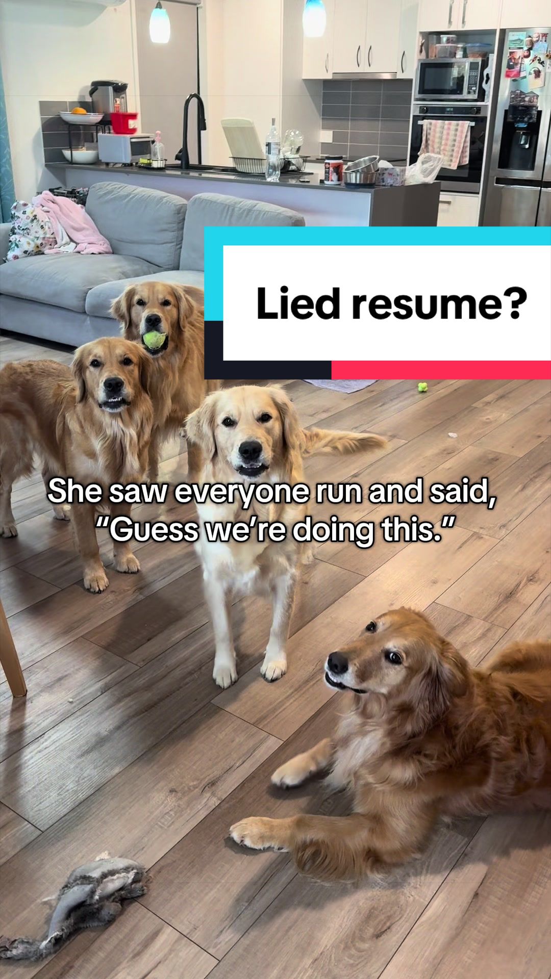 @3goldenretriever