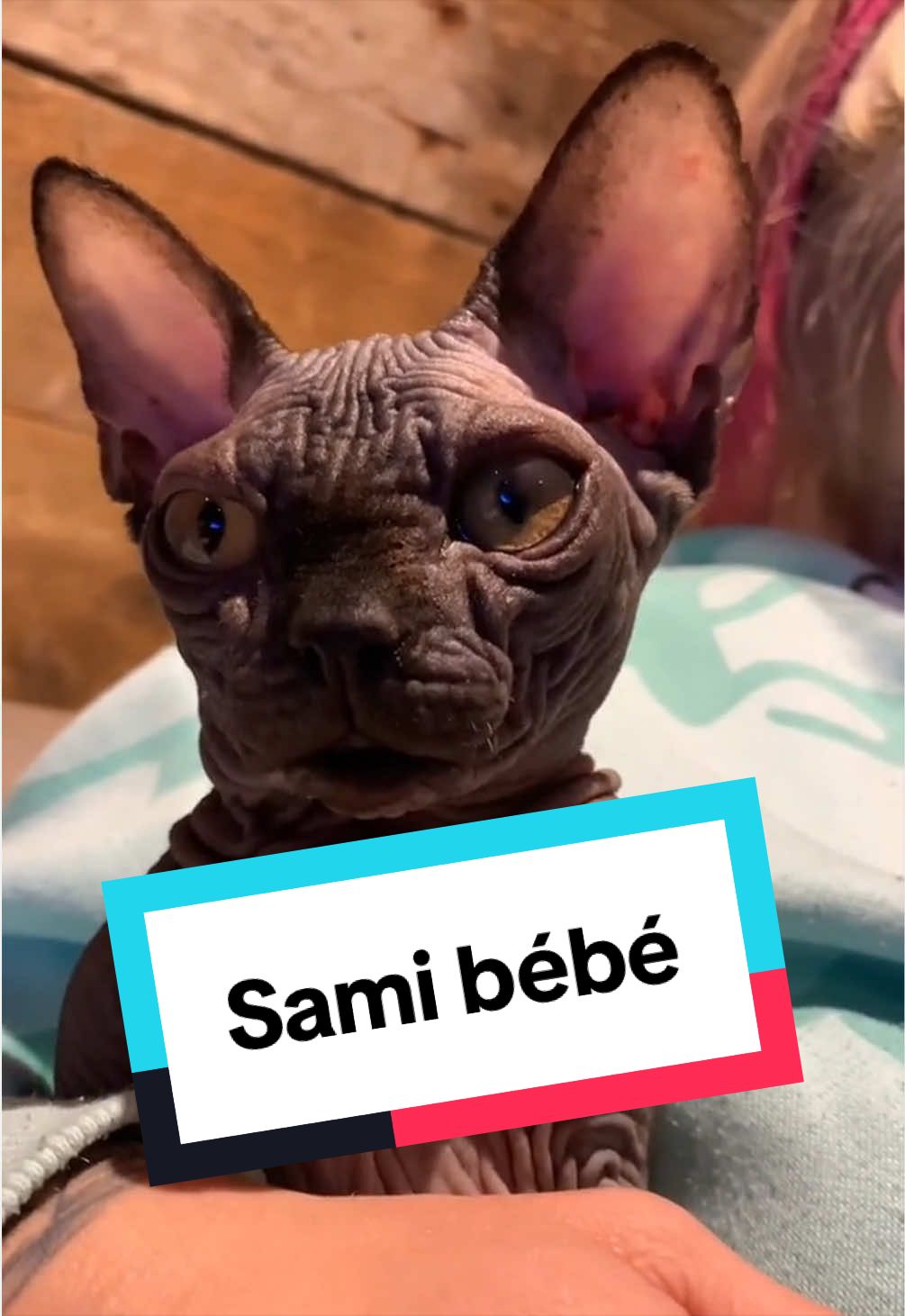 @sami_leo_missa