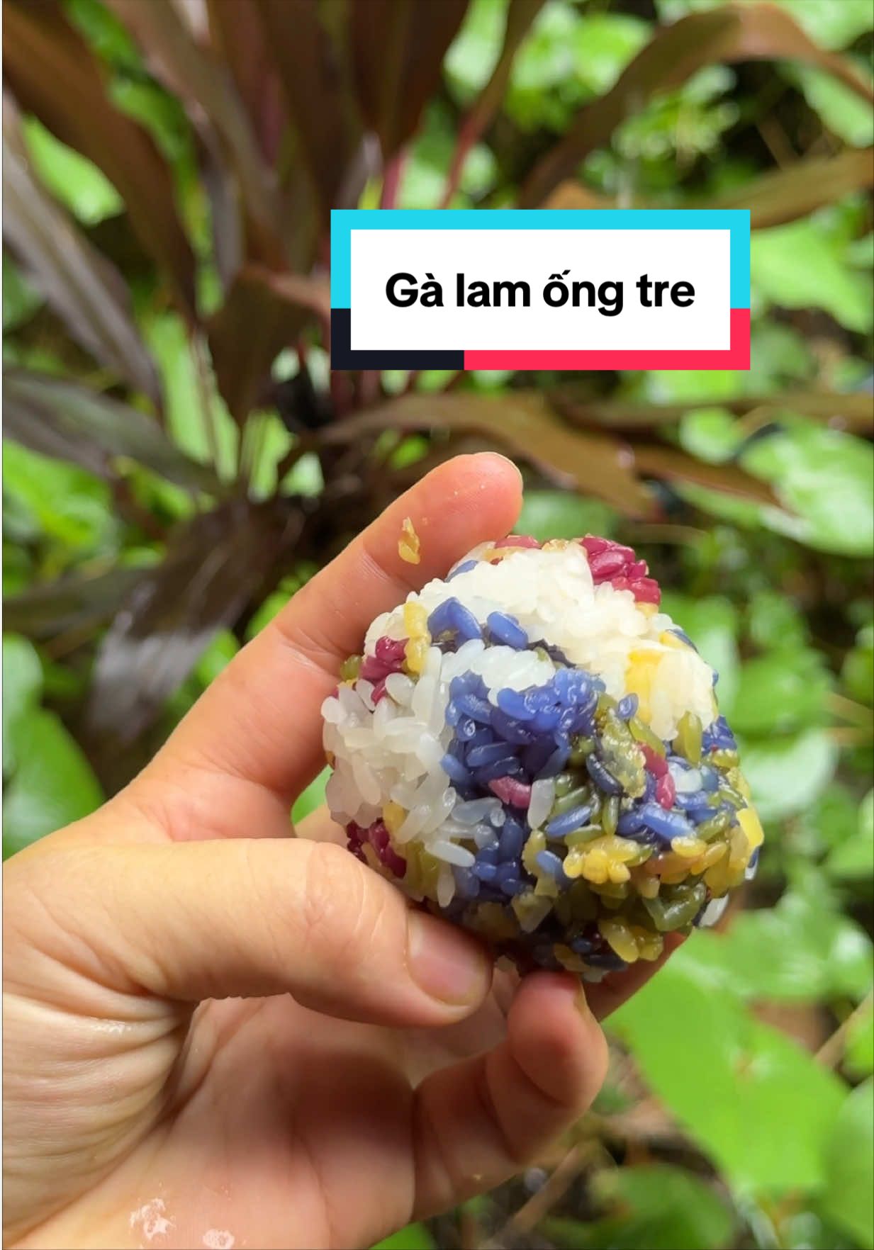 @Sức Tày