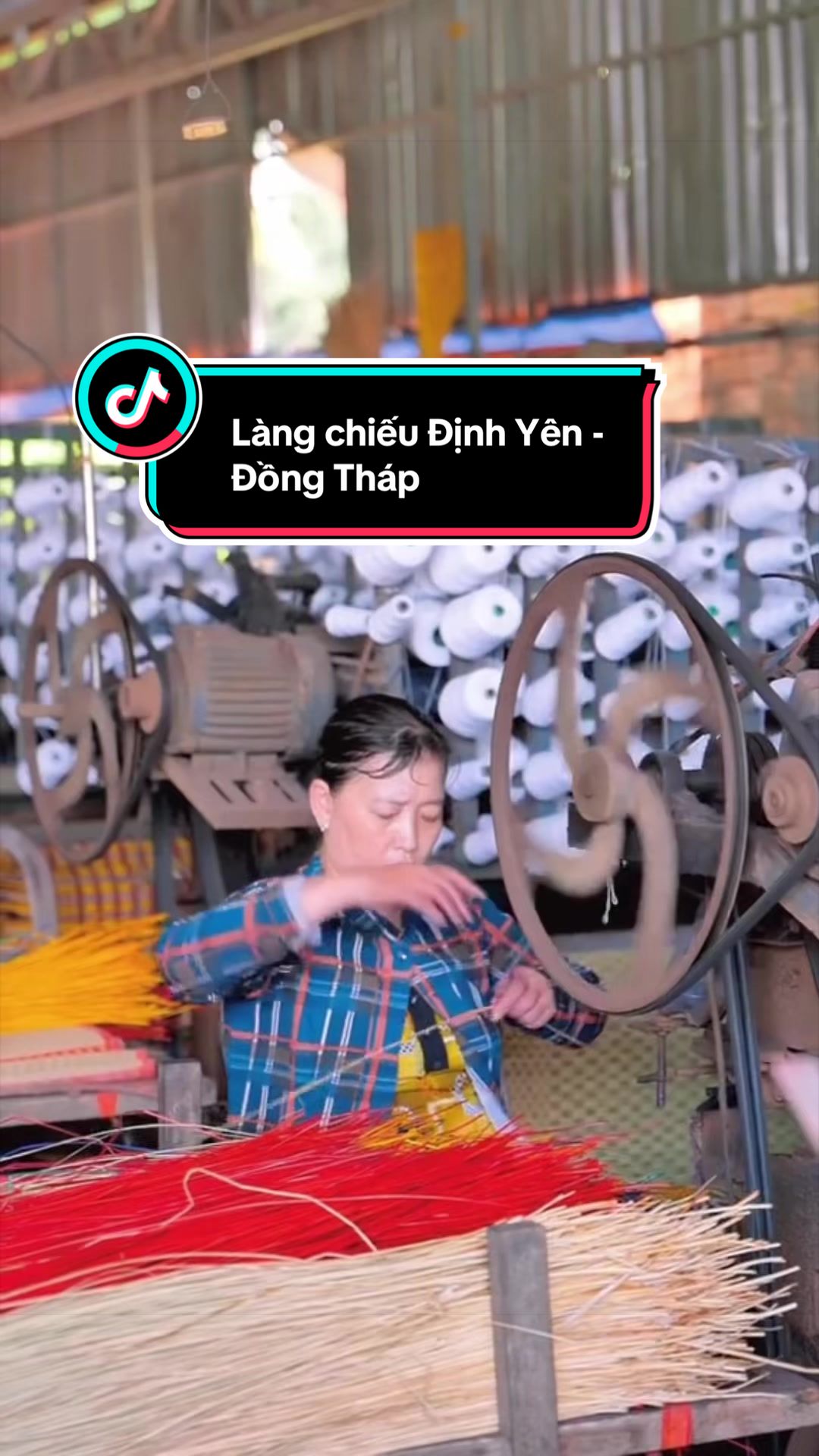 @Mậu Dần 1998