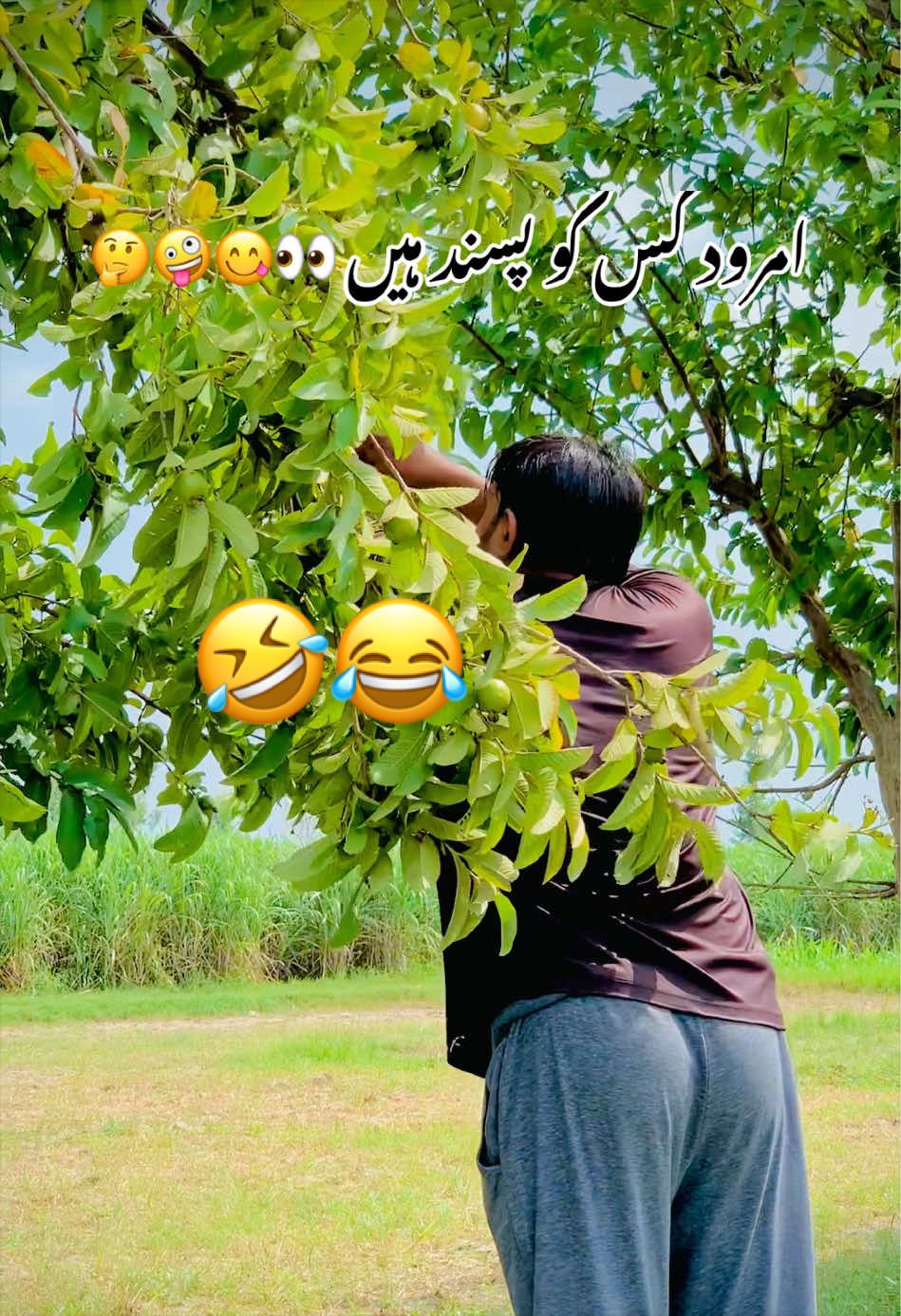 @Amir Shahzad Gasoora Saab