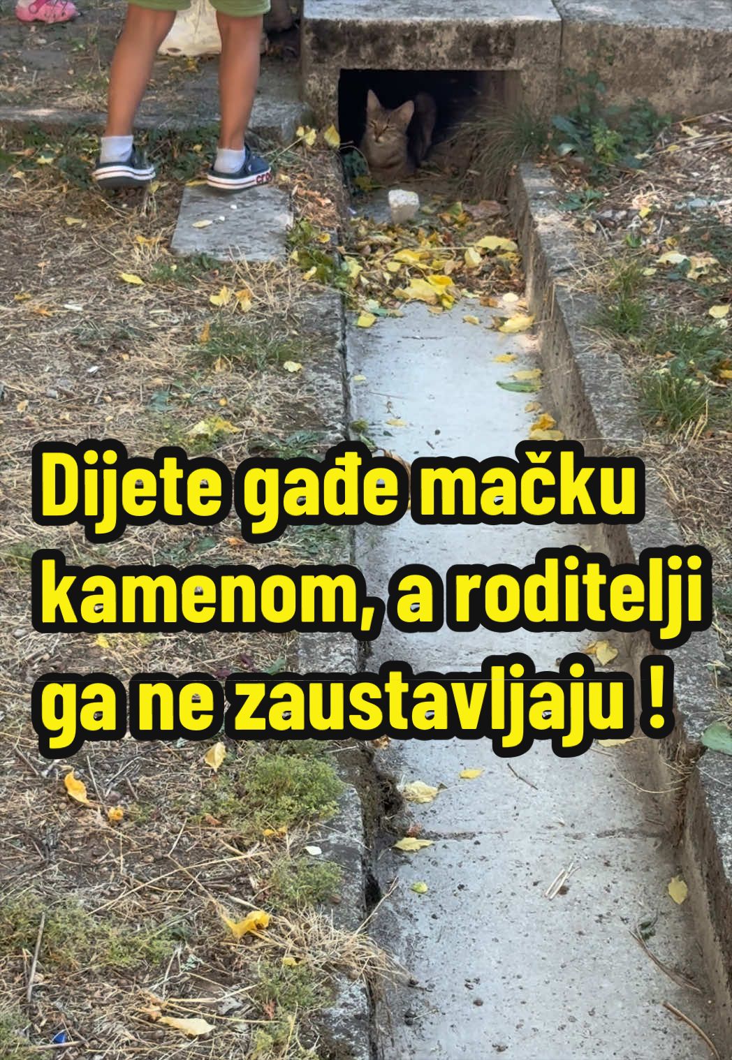 @Maja Kovijanic