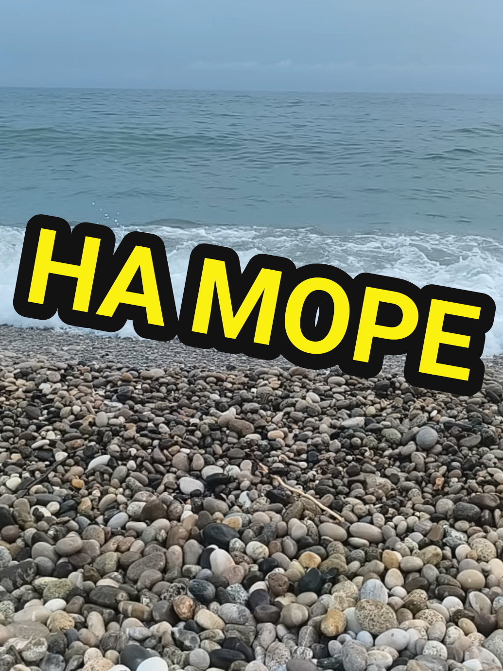 @🤟Веня Машаранский✌