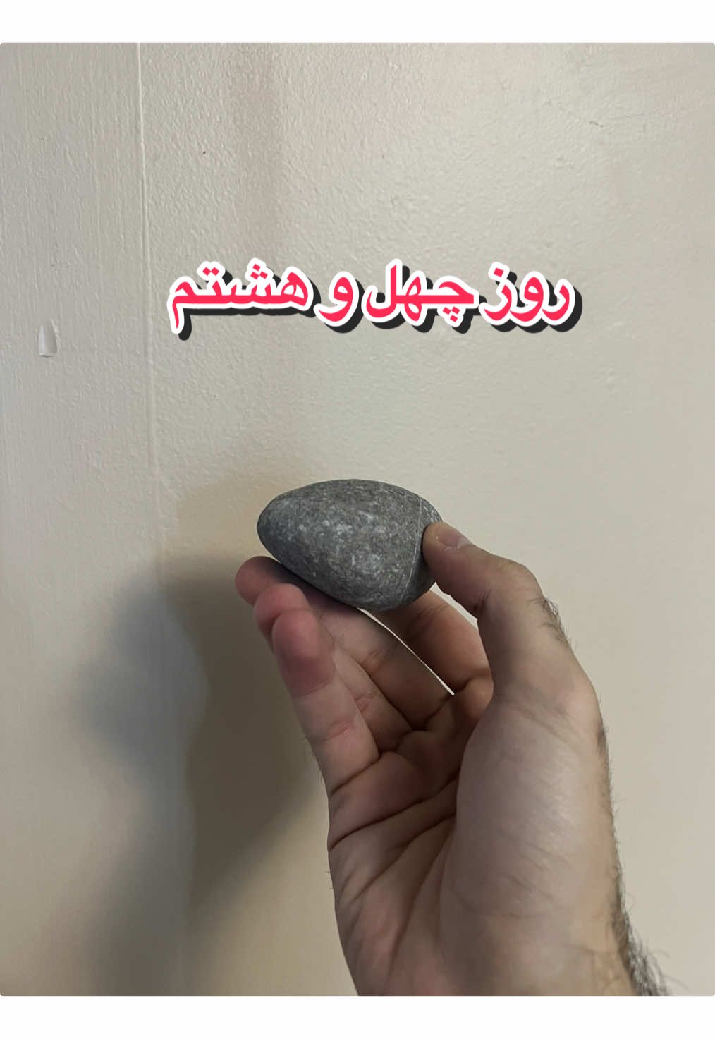 @قلی | یه حیوون خونگی متفاوت