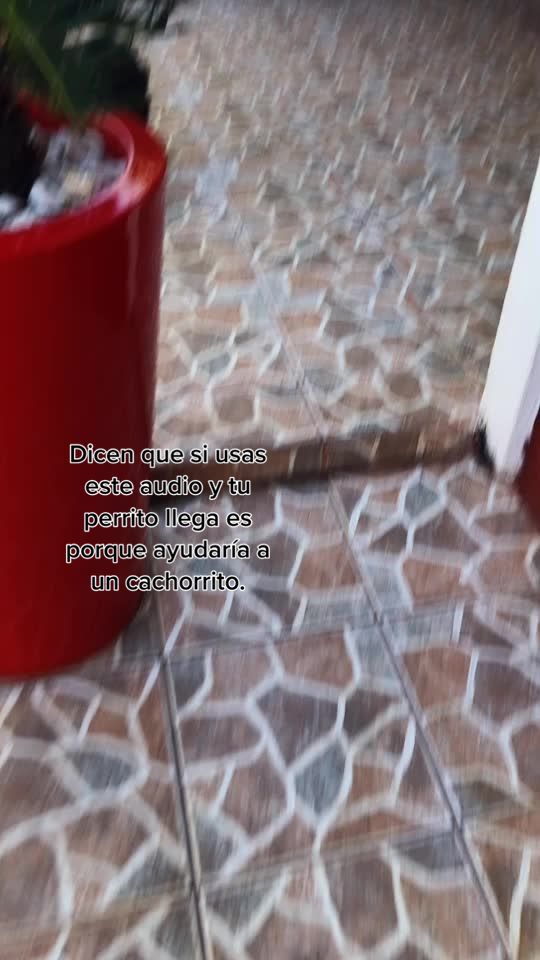 @&bull;𝕁𝕚𝕤𝕤𝕖𝕝𝕝𝕖Bitch🐍🇳🇮
