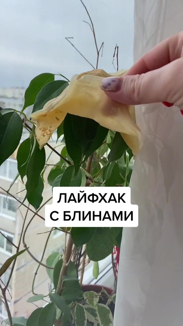 @ПРОДУКТЫ и их ДЕГУСТАЦИЯ
