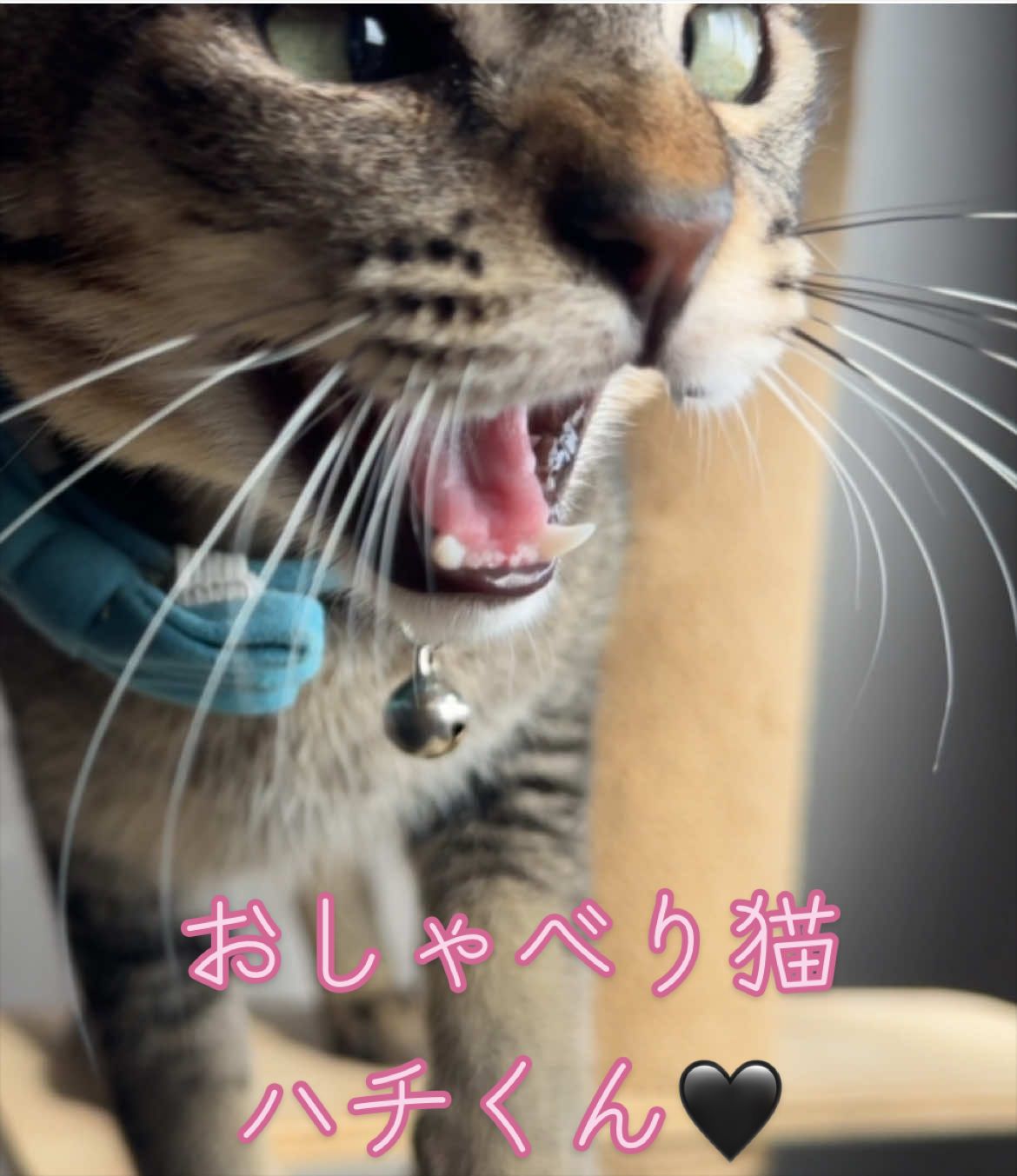 @はっぴー野郎☺︎