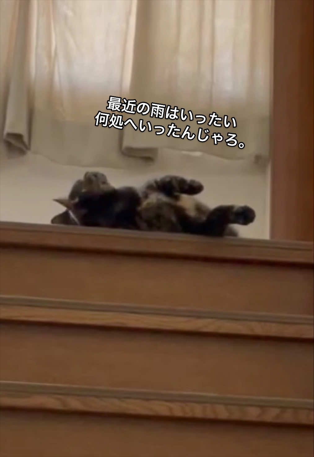 @聴々物語PROJECT