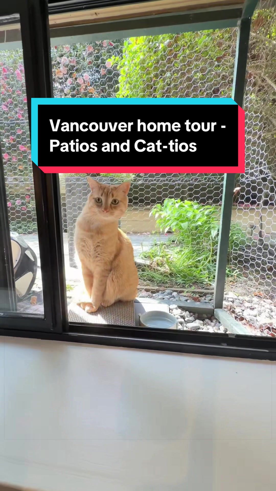 @Tyler Burrows | Home Tours🇨🇦