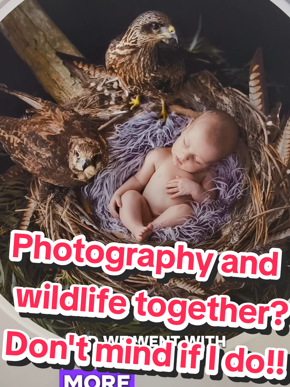 @Tanya 🐨🦘