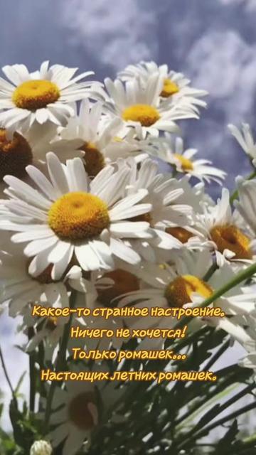 @🇰🇿 09_𝓝𝓪𝓽𝓪𝓵𝓲_09 🇰🇿