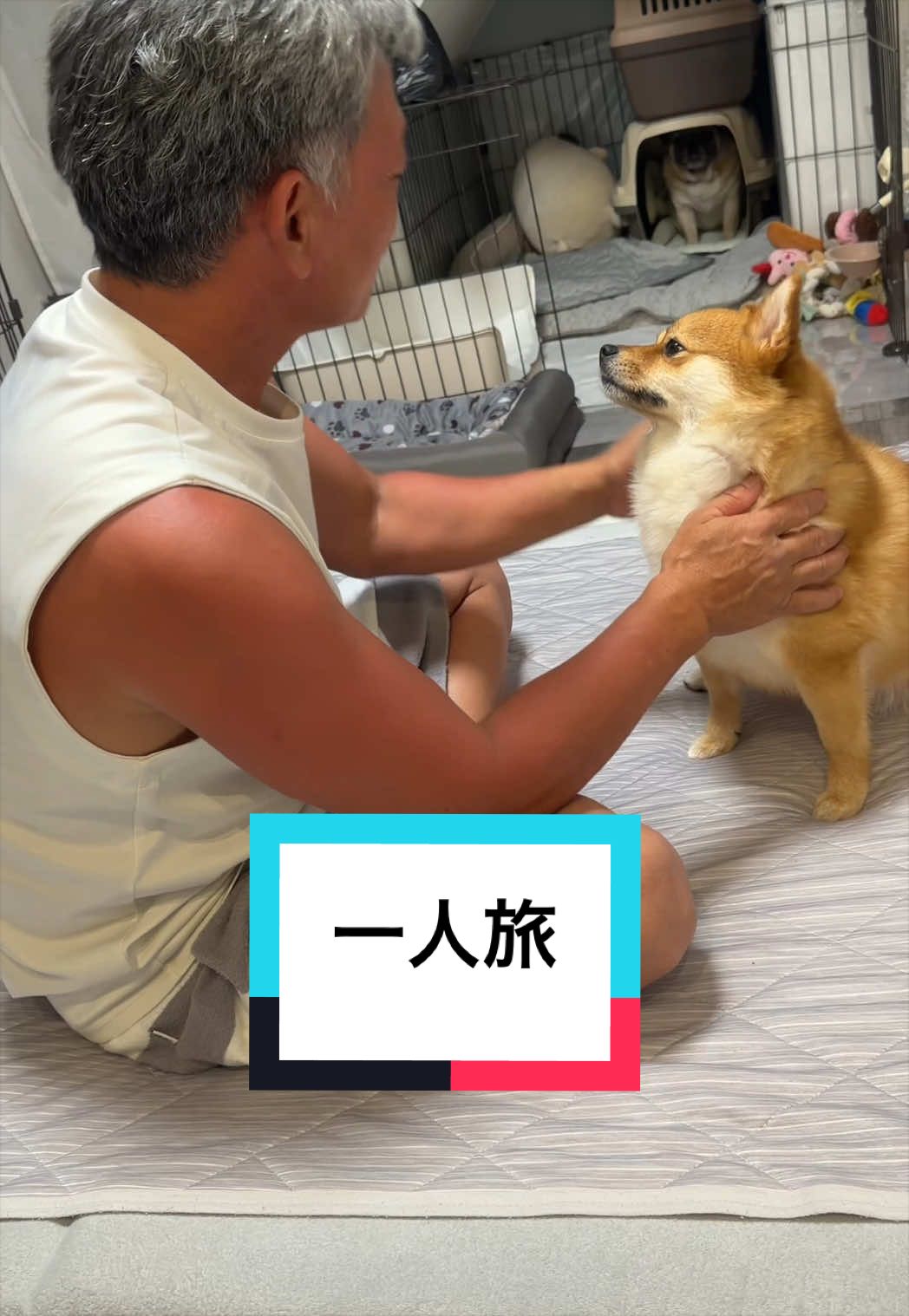 @🐶とん&ぺっぺこぺー🦊