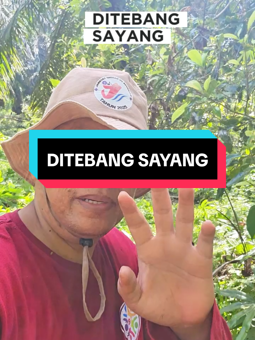 @Mr JARNAWI