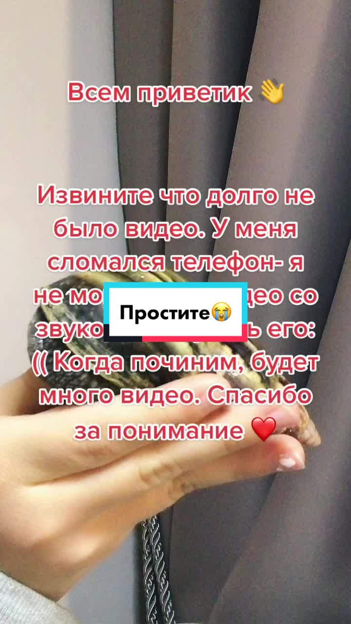 @Улиточки ахатины 🐌💕