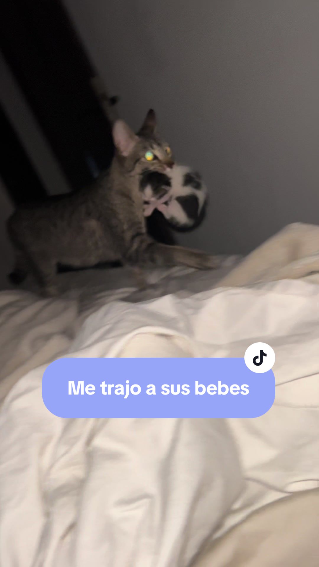 @SABRI