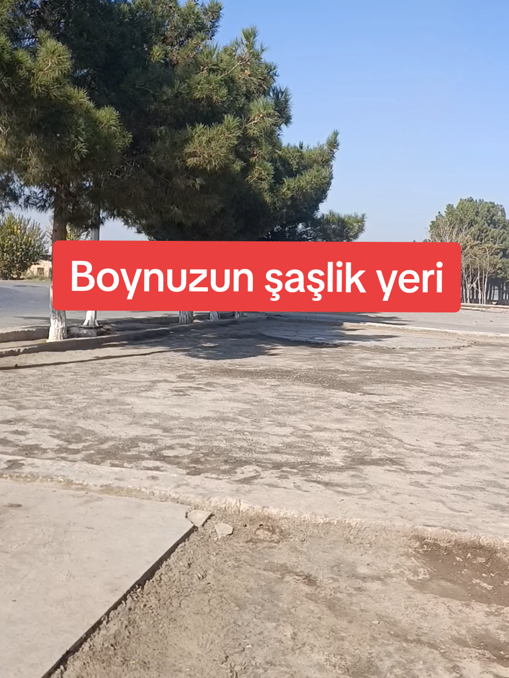 @Ali
