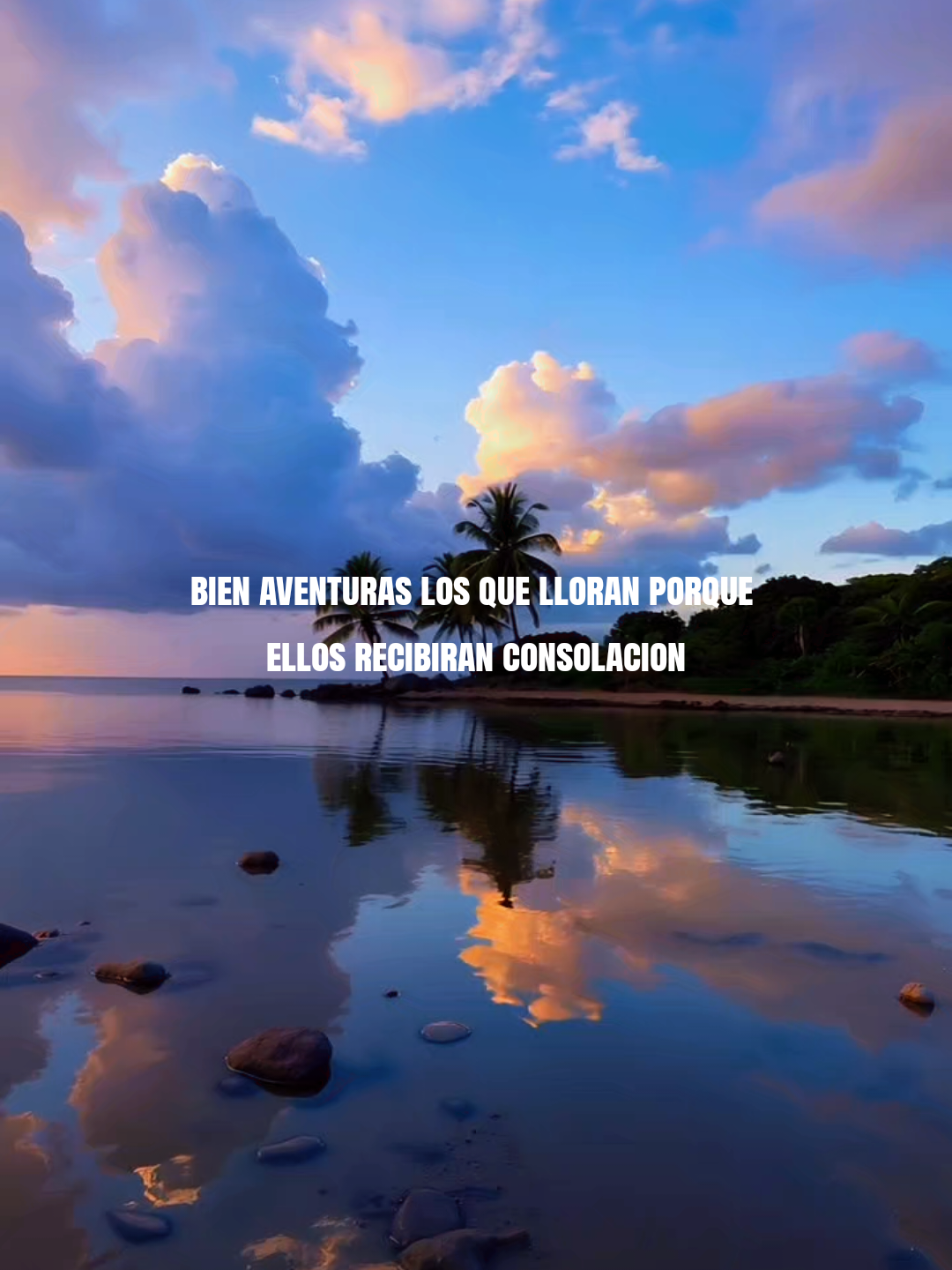 @@Teo Rodriguez