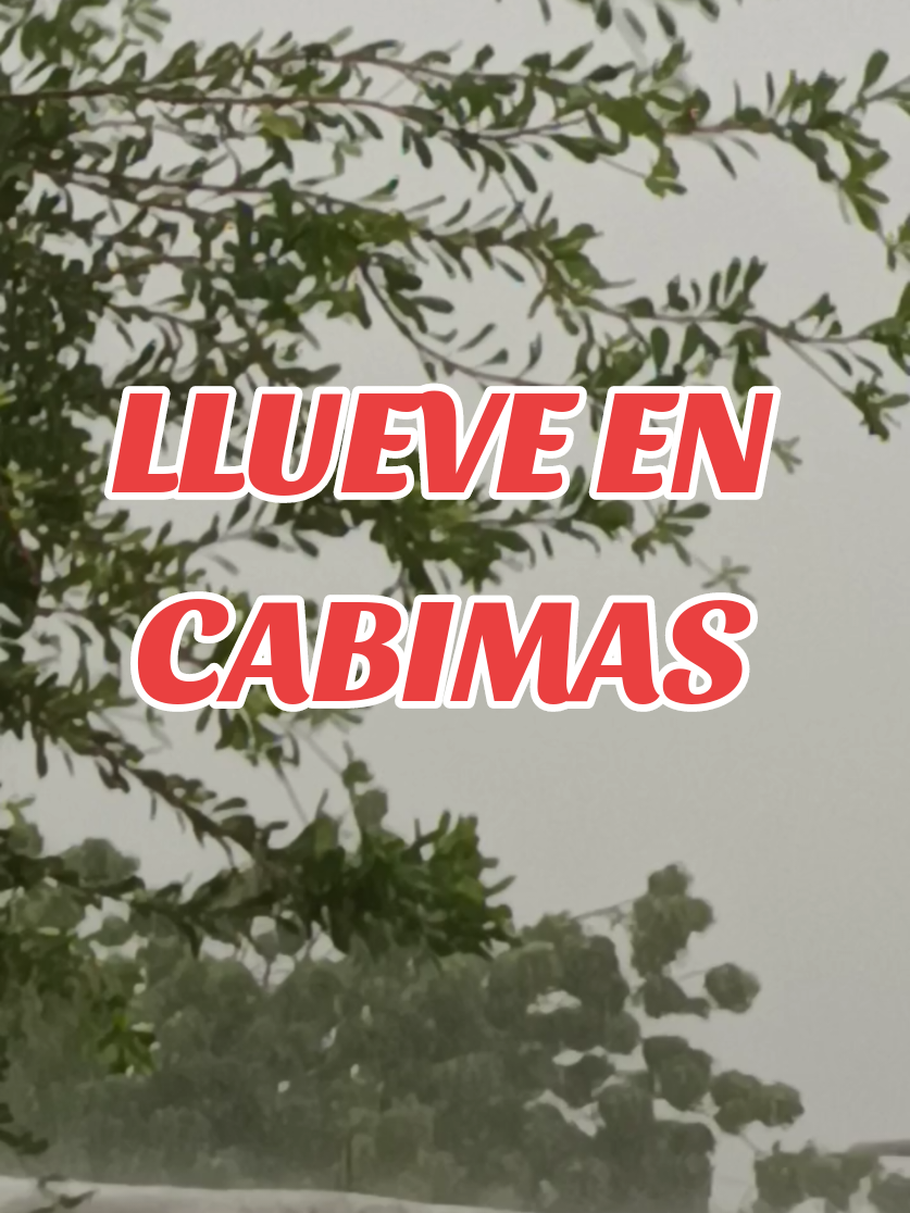 @MIMUNDO1981
