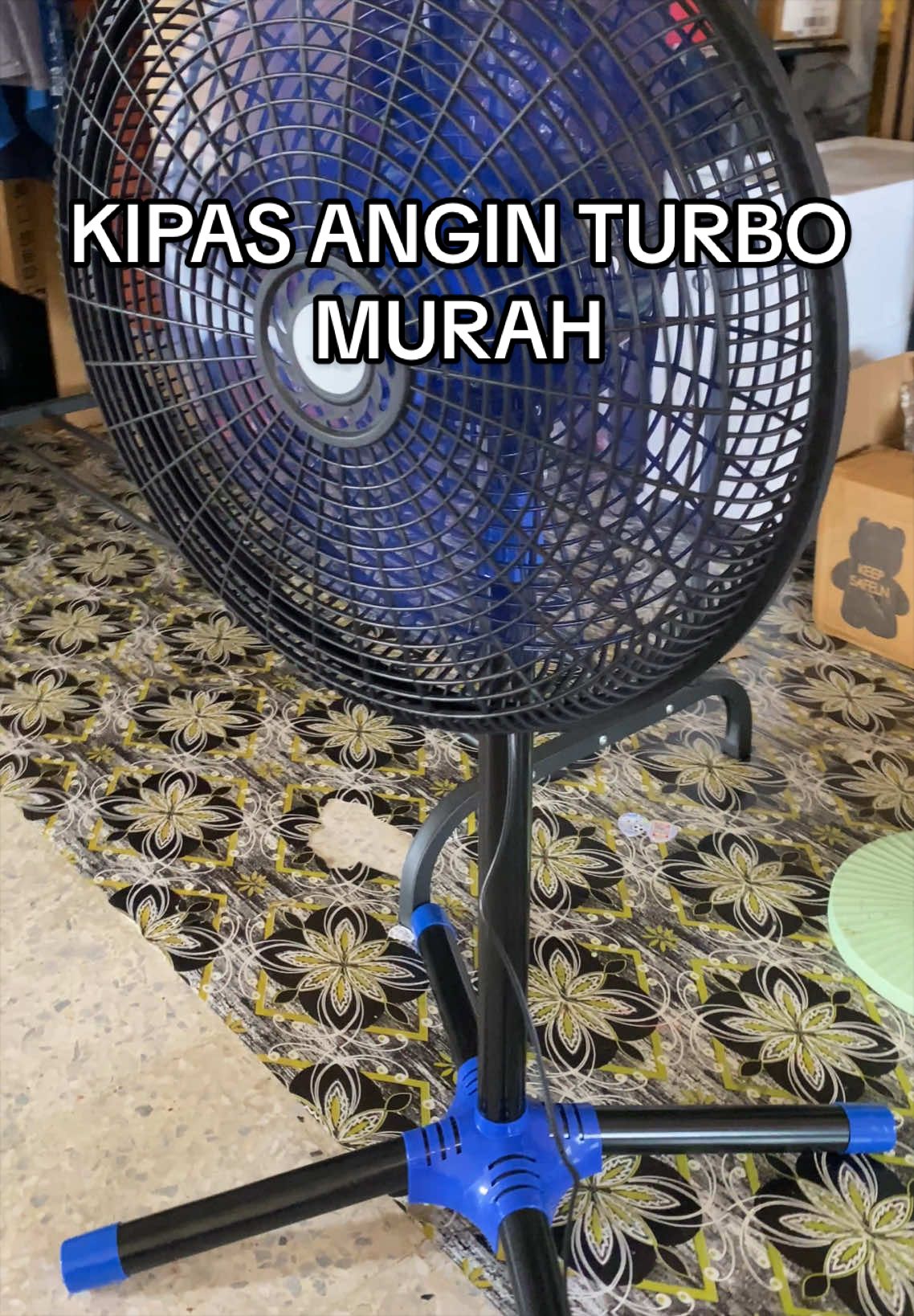 @Shima Zara