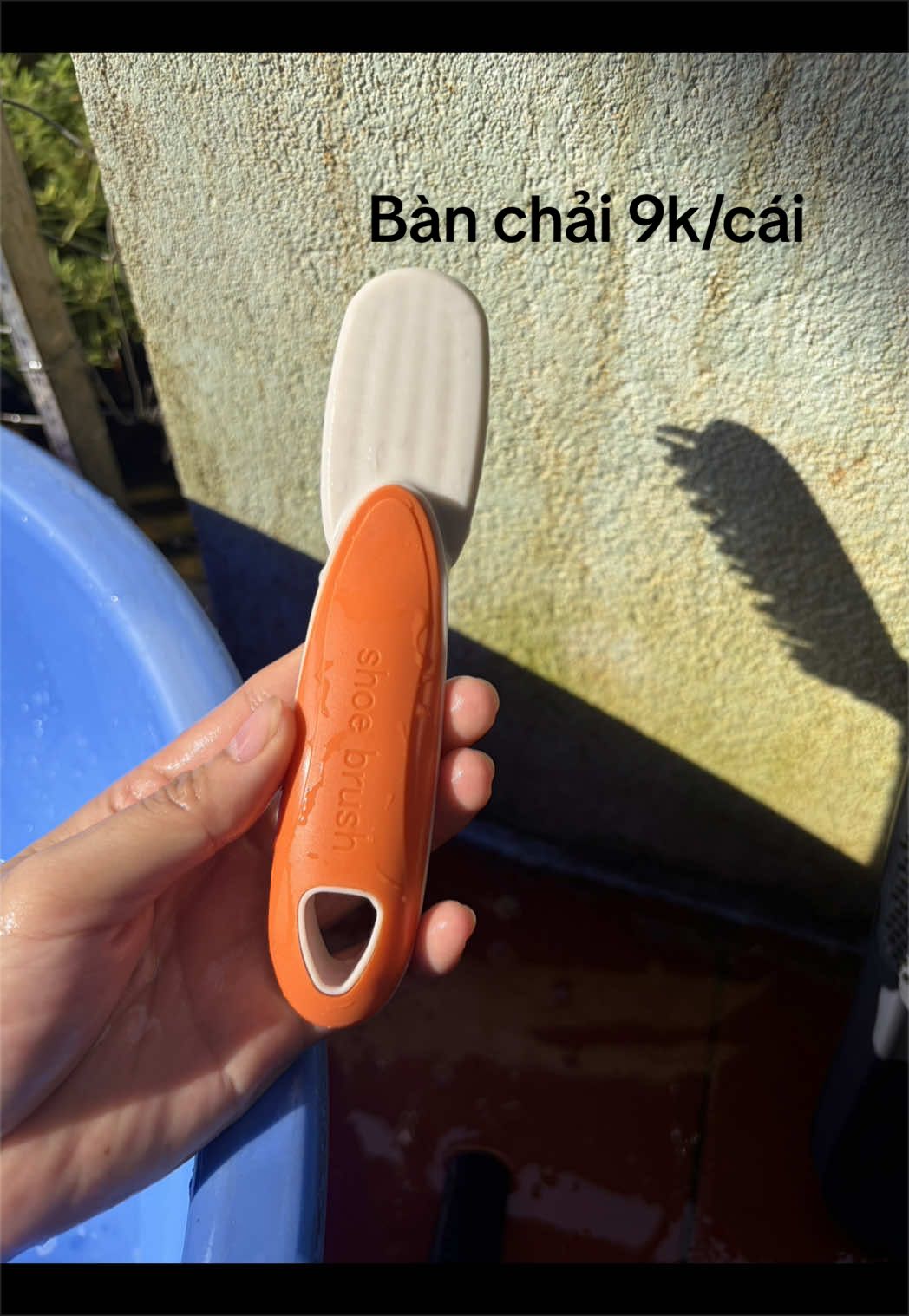 @Lì Tây Nguyên